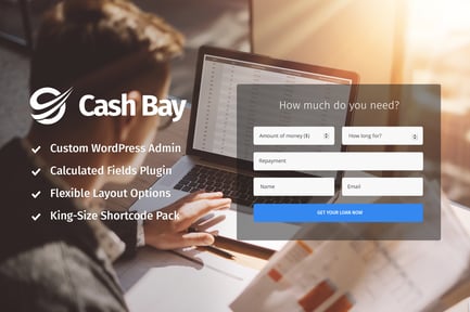 Cash Bay - Loan & Credit Money WP Theme