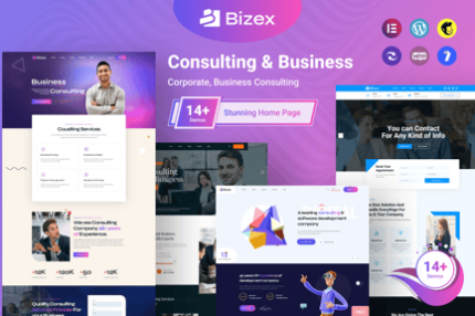 Bizex - Business Consulting WordPress Theme