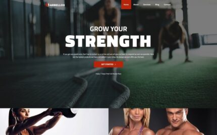 Barbellox - Spor Salonu Çok Amaçlı Modern WordPress Elementor Teması WordPress Teması