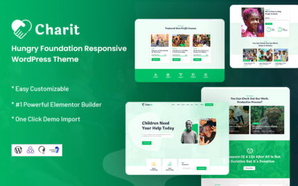 Charit - Hungry Foundation Duyarlı WordPress Teması