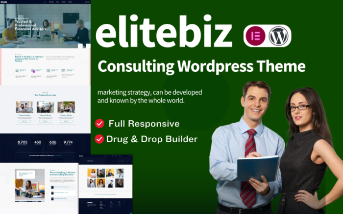 elitebiz iş Danışmanlığı wordpress teması WordPress Teması