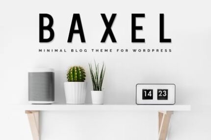 Baxel - Minimalist WordPress Blog Theme