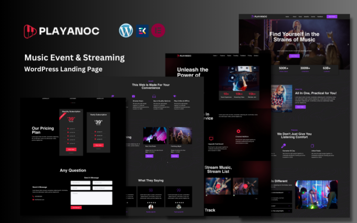 Playanoc - Müzik Etkinliği ve Yayın WordPress Landing Page WordPress Teması